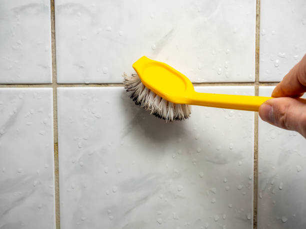 Best Home Mold Removal  in East Rancho Dominguez, CA