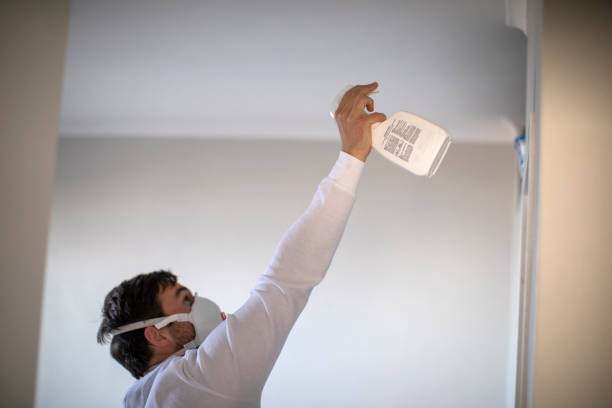 Office Mold Removal Services in East Rancho Dominguez, CA