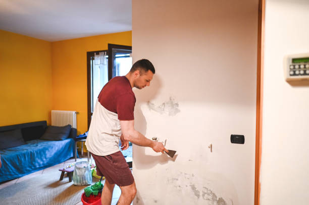 Best Local Mold Removal Service  in East Rancho Dominguez, CA